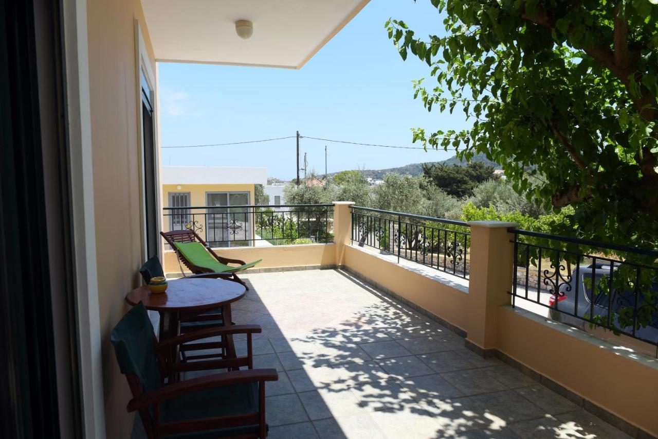 Athina's In Olive Grove
