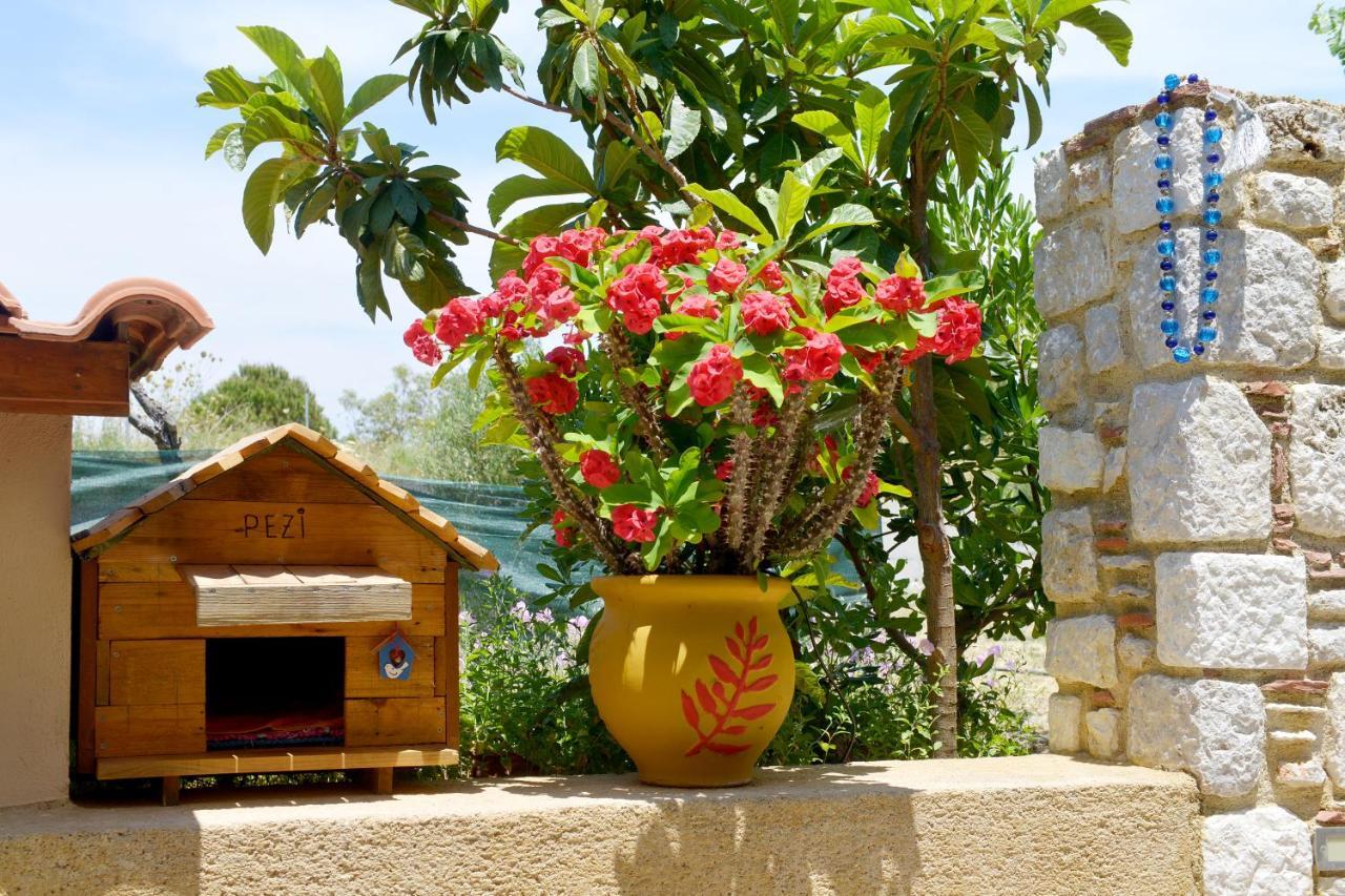 Athina's In Olive Grove * Faliraki