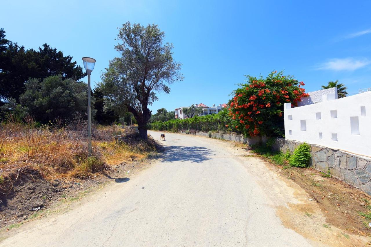 Athina's In Olive Grove Apartment Faliraki