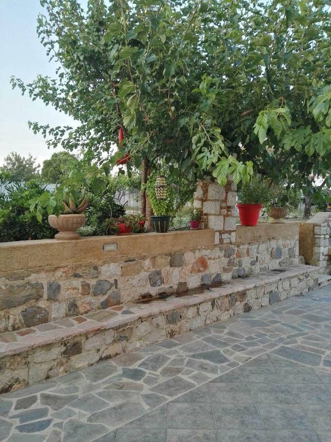 Apartment Athina's In Olive Grove Faliraki